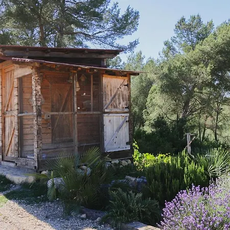 Appartement Masia Pou De La Vinya *