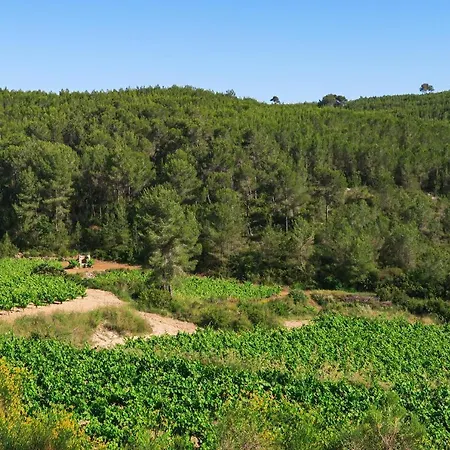 Masia Pou De La Vinya Lejlighed