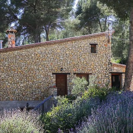 Masia Pou De La Vinya Apartment