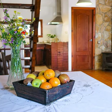 Apartment Masia Pou De La Vinya